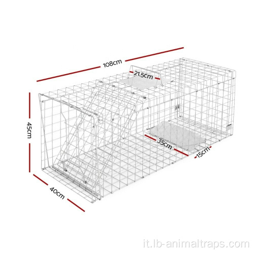 Volpa per cani selvatici di ratto animale di animale vivo